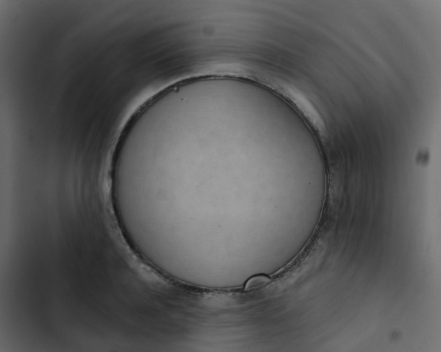 X0000102870944200809021444