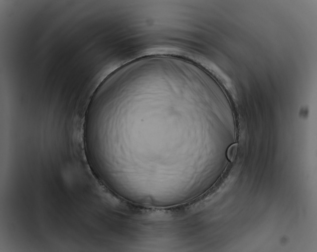 X0000102870945200809021444