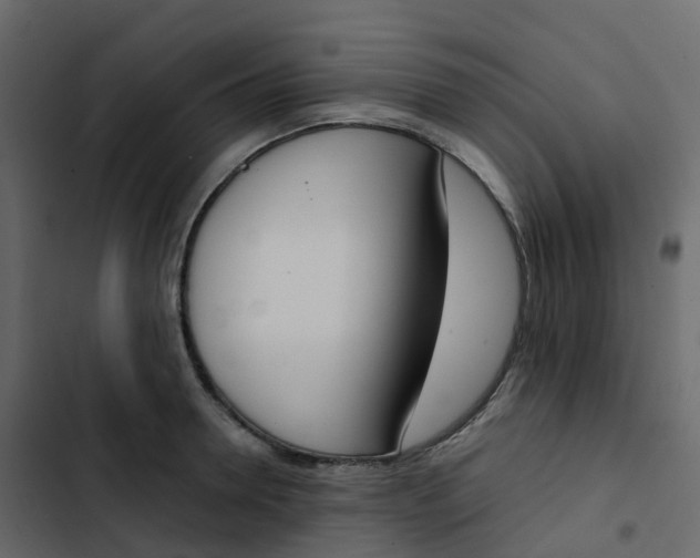 X0000102870946200809021444