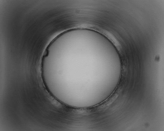 X0000102870948200809021444