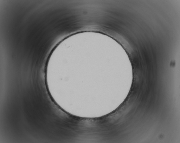 X0000102870950200809021444