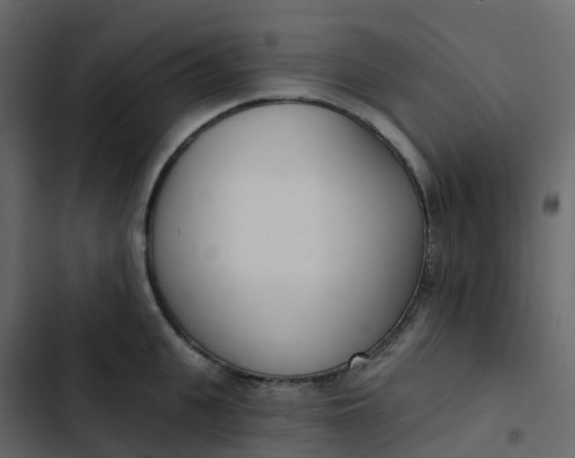 X0000102870951200809021444