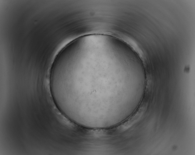 X0000102870952200809021444