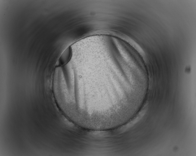 X0000102870953200809021444