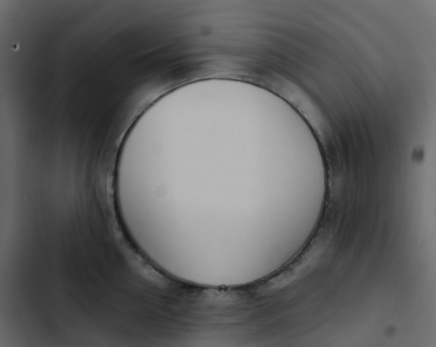 X0000102870954200809021444