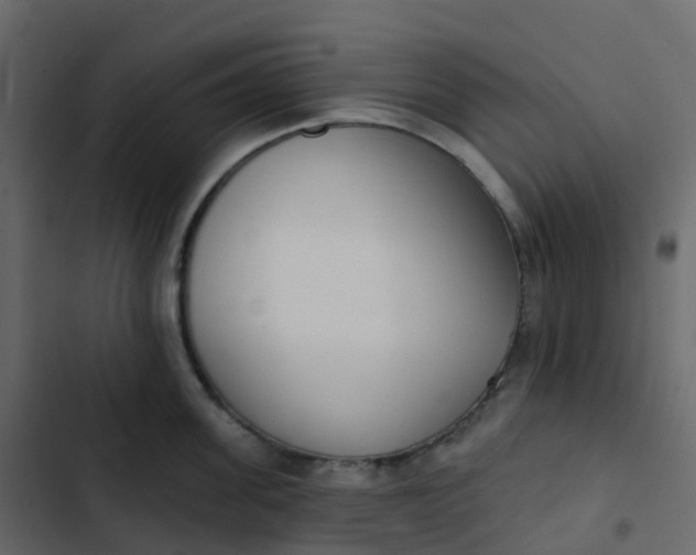 X0000102870955200809021444