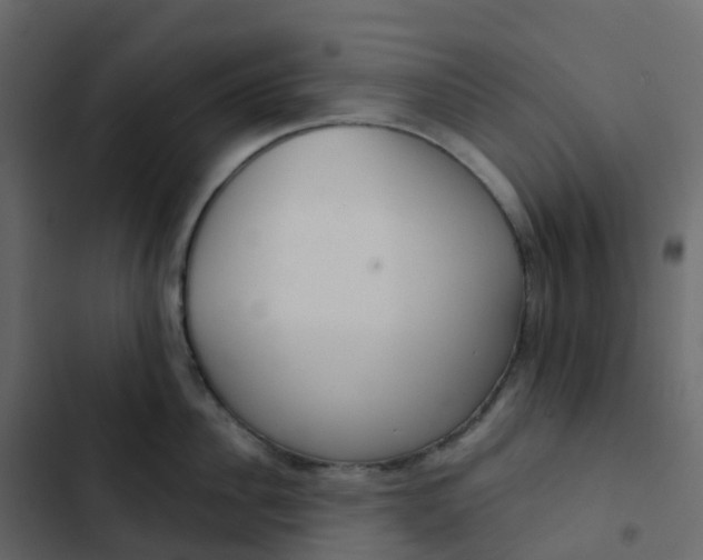 X0000102870956200809021444