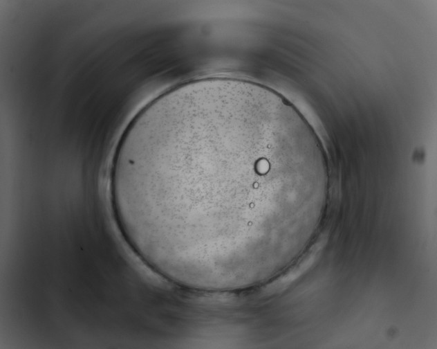 X0000102870957200809021444