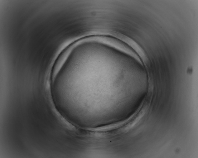 X0000102870958200809021444