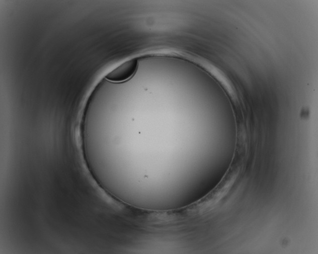 X0000102870959200809021444