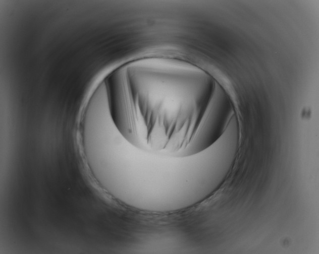 X0000102870960200809021444