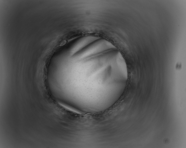 X0000102870961200809021444