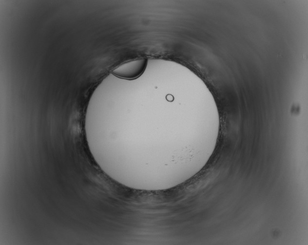 X0000102870962200809021444