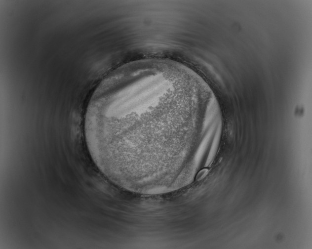 X0000102870964200809021444