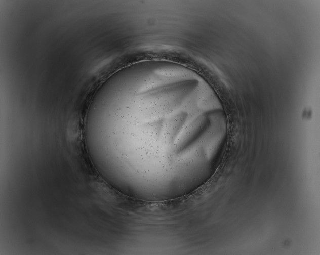 X0000102870966200809021444