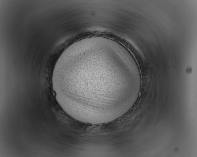 X0000102870967200809021444