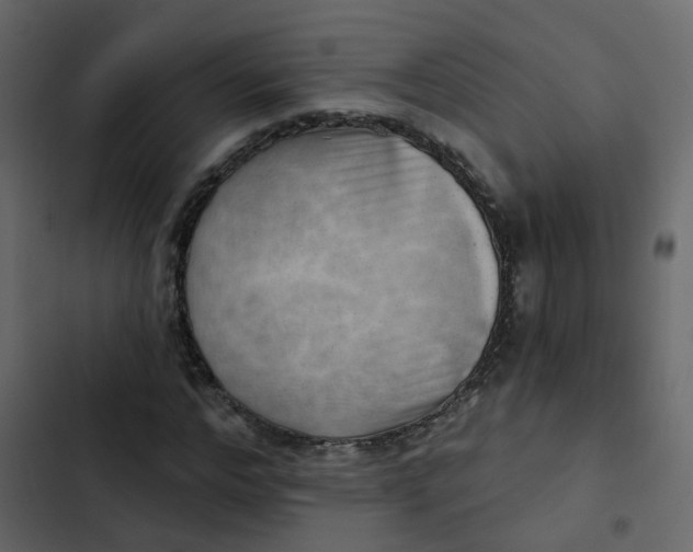 X0000102870968200809021443