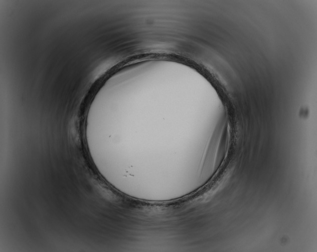 X0000102870970200809021443