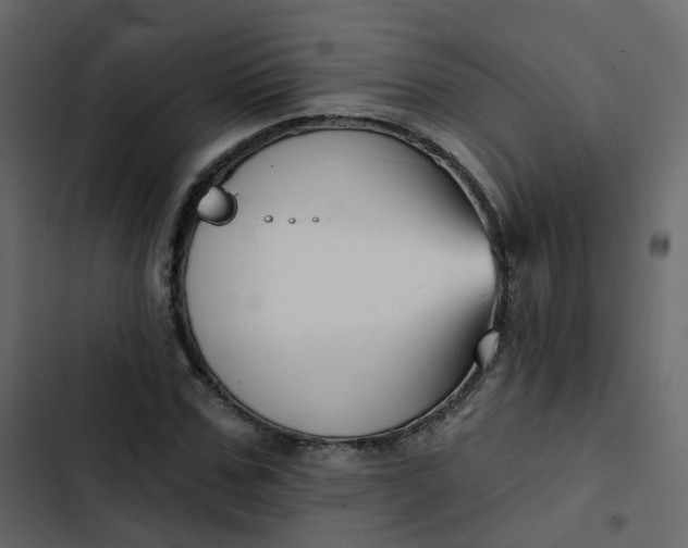 X0000102870971200809021443