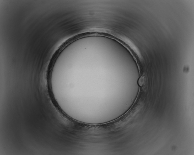 X0000102870972200809021443