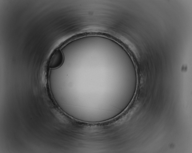 X0000102870973200809021443