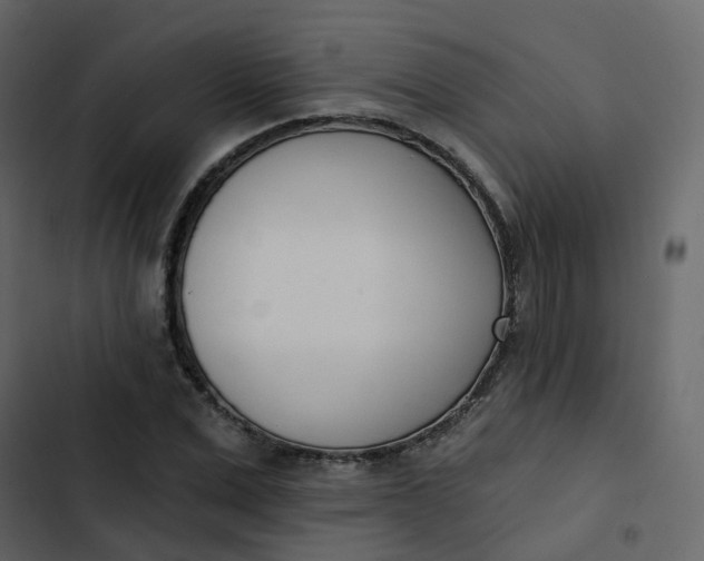 X0000102870975200809021443