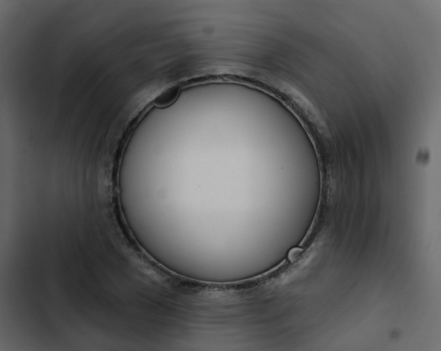 X0000102870977200809021443