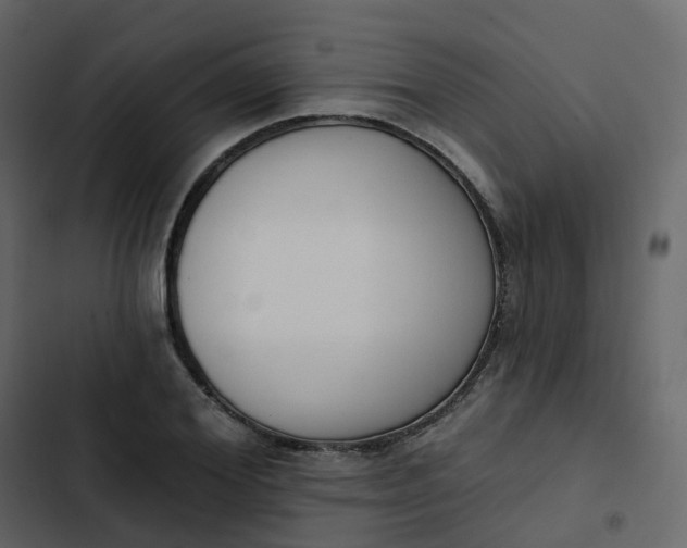 X0000102870980200809021443