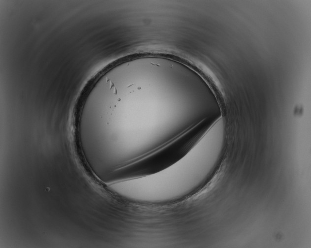 X0000102870981200809021443