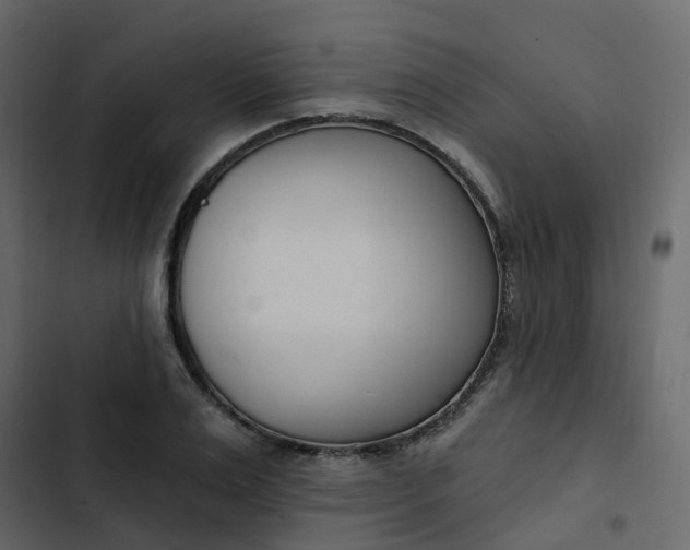 X0000102870983200809021443