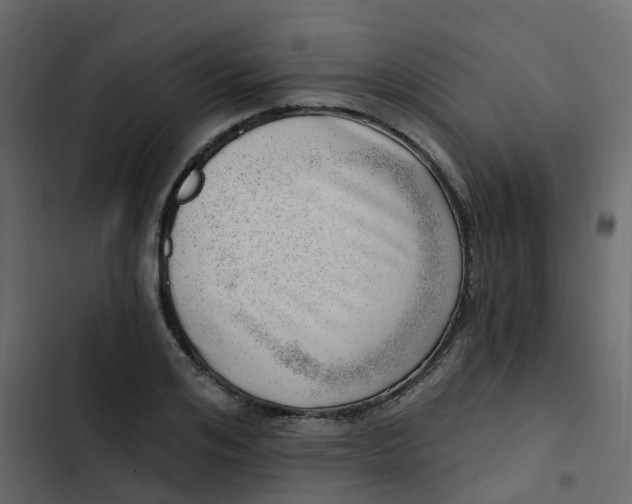 X0000102870984200809021443