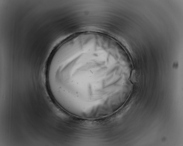 X0000102870987200809021443