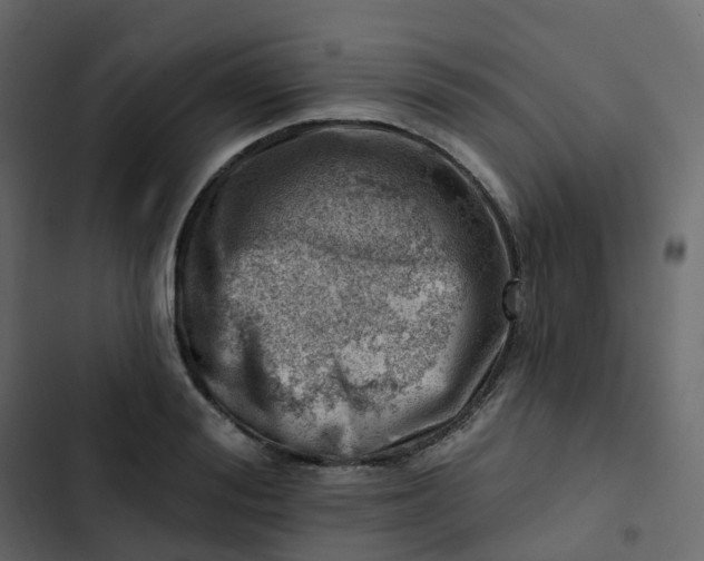 X0000102870988200809021443