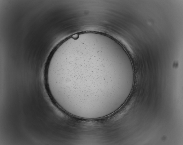 X0000102870991200809021443