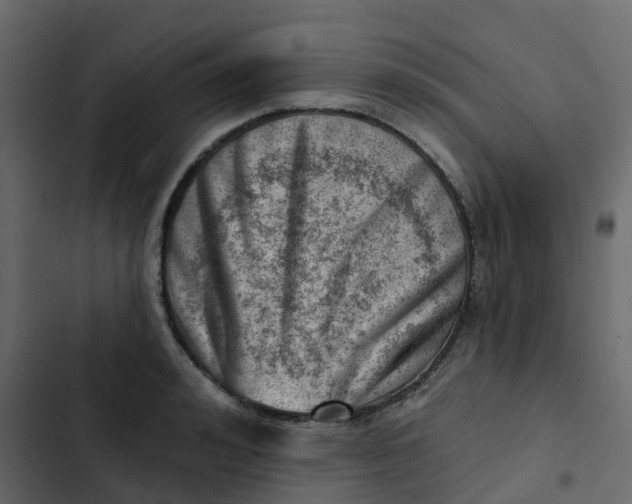 X0000102870992200809021443