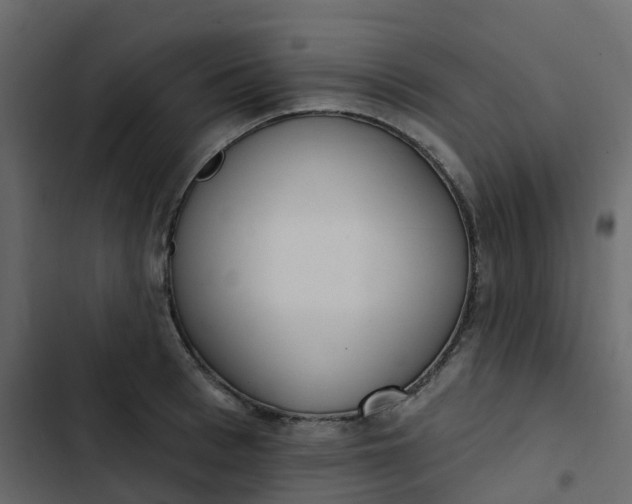 X0000102870993200809021443