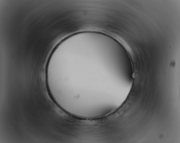 X0000102870996200809021443