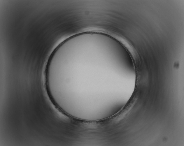 X0000102870999200809021443