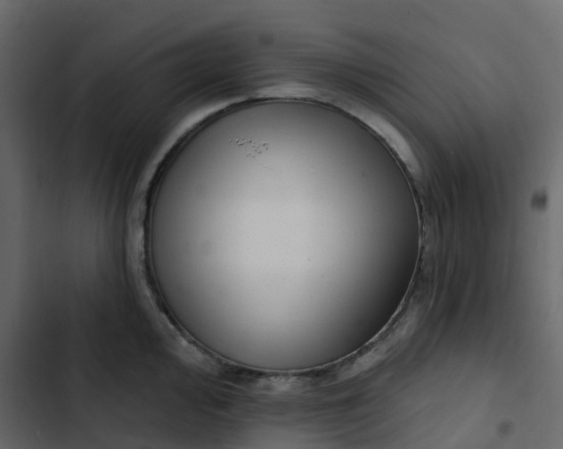 X0000102871000200809021443