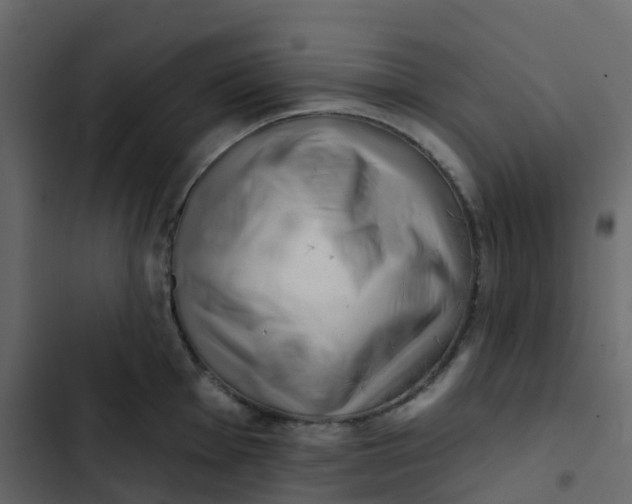 X0000102871001200809021443