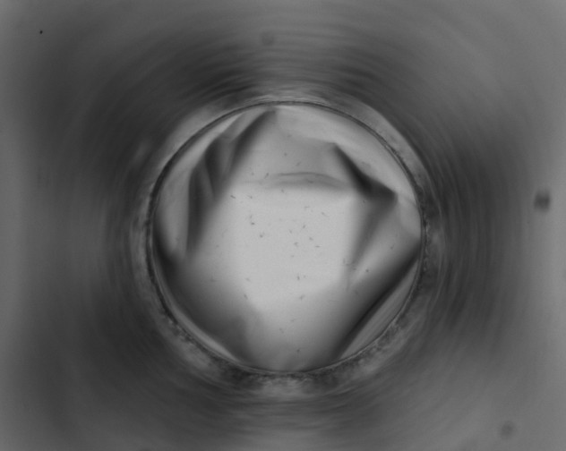 X0000102871002200809021443