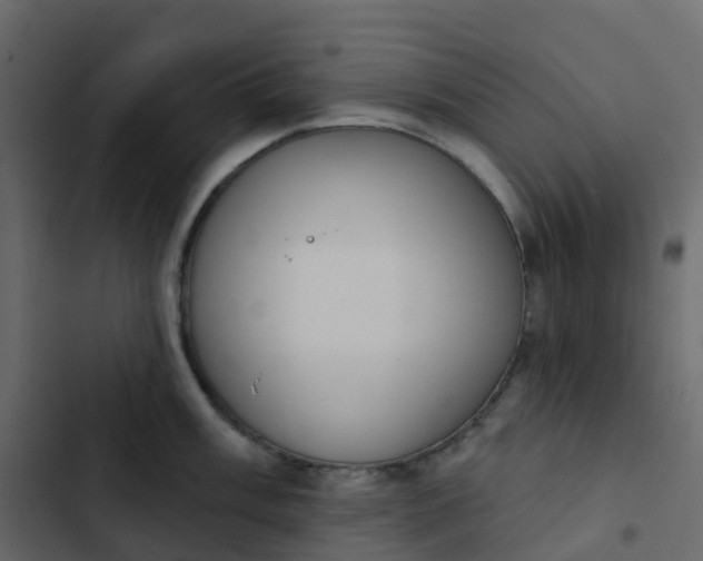 X0000102871003200809021443