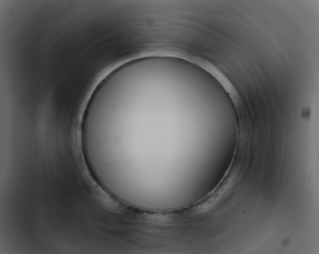 X0000102871004200809021443