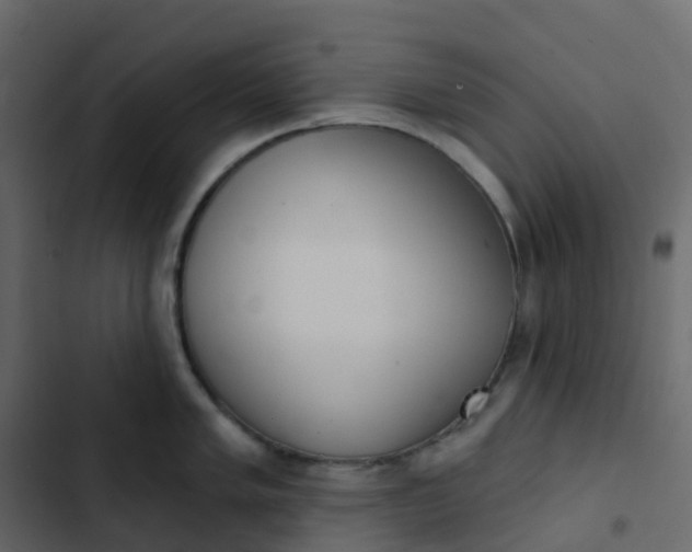 X0000102871005200809021443