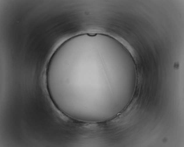 X0000102871006200809021443