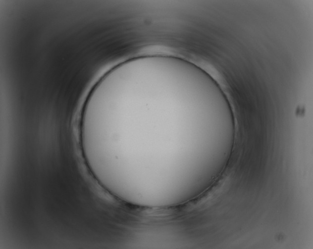 X0000102871008200809021443