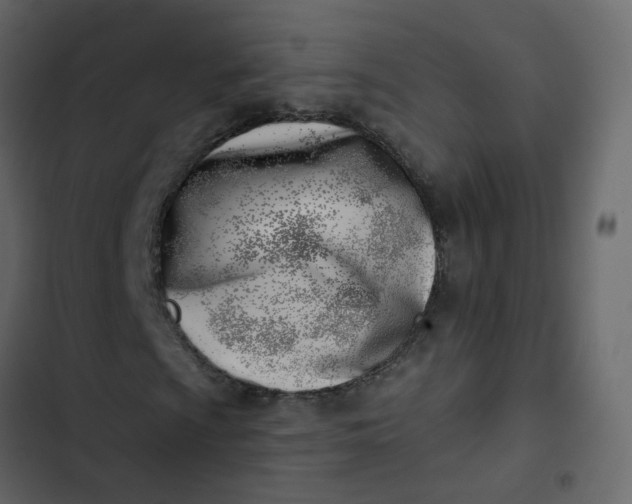 X0000102871009200809021442