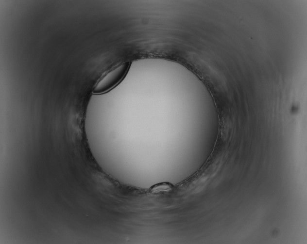 X0000102871010200809021442