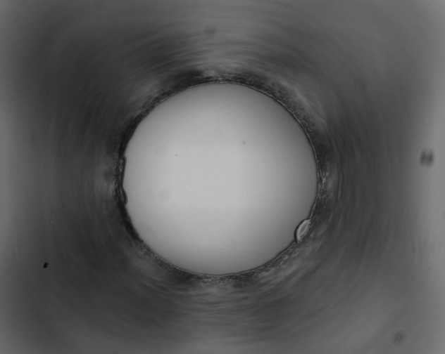 X0000102871012200809021442