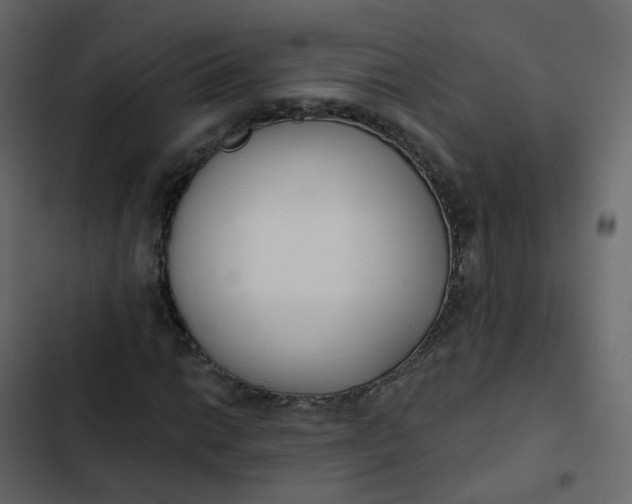 X0000102871014200809021442